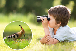 K&F Concept t�vcs�vek